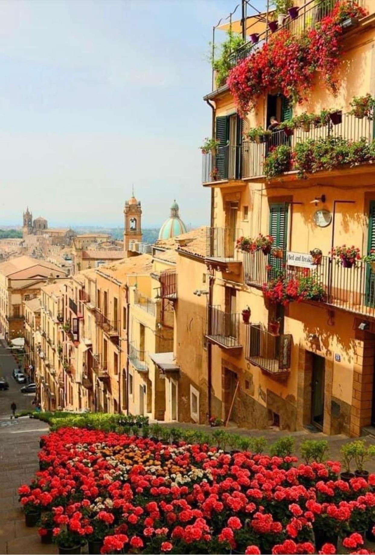 Casa Tipica Siciliana Patronale Home Bedandbreakfast Tremetrisoprailcielo Camere Con Vista, Colazione Interna In Terrazzo Panoramico Caltagirone Εξωτερικό φωτογραφία