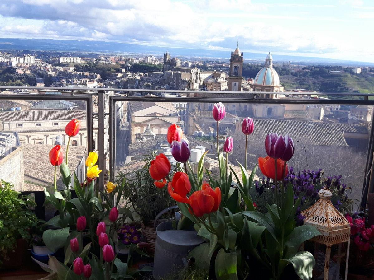 Casa Tipica Siciliana Patronale Home Bedandbreakfast Tremetrisoprailcielo Camere Con Vista, Colazione Interna In Terrazzo Panoramico Caltagirone Εξωτερικό φωτογραφία
