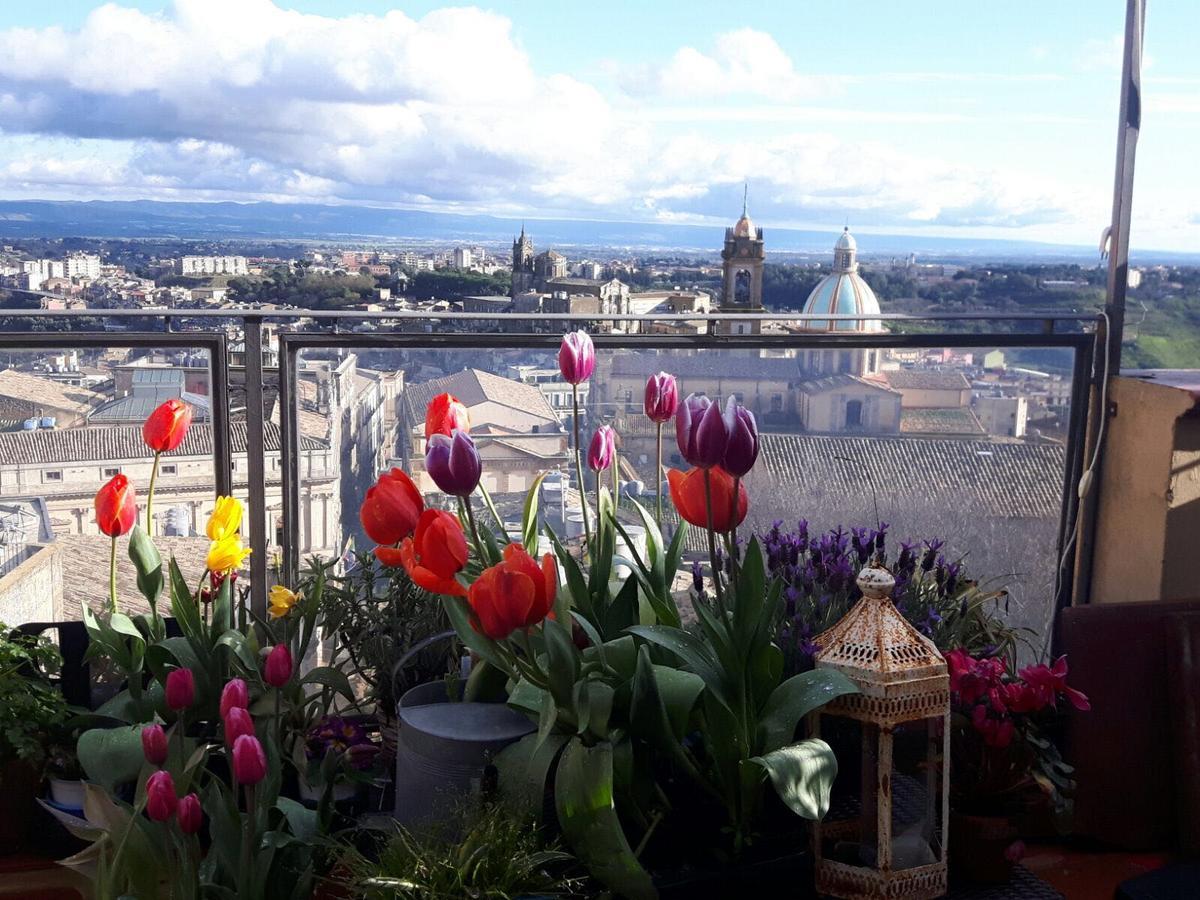 Casa Tipica Siciliana Patronale Home Bedandbreakfast Tremetrisoprailcielo Camere Con Vista, Colazione Interna In Terrazzo Panoramico Caltagirone Εξωτερικό φωτογραφία