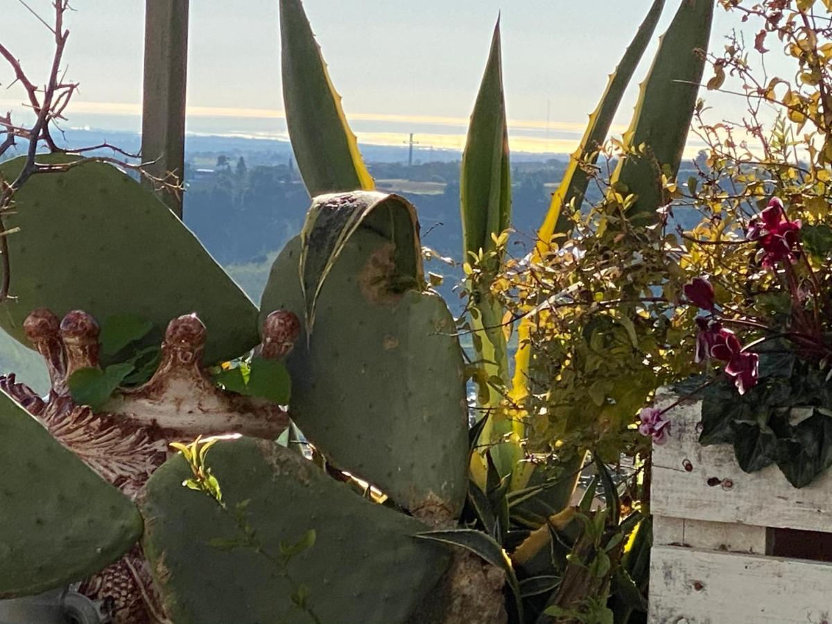 Casa Tipica Siciliana Patronale Home Bedandbreakfast Tremetrisoprailcielo Camere Con Vista, Colazione Interna In Terrazzo Panoramico Caltagirone Εξωτερικό φωτογραφία